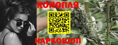 МДПВ Тула
