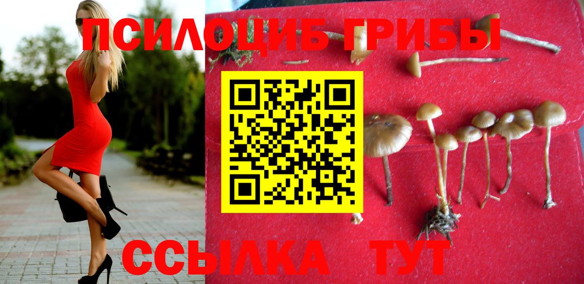 Братск  Галлюциногенные грибы Psilocybe  Вход с VPN 