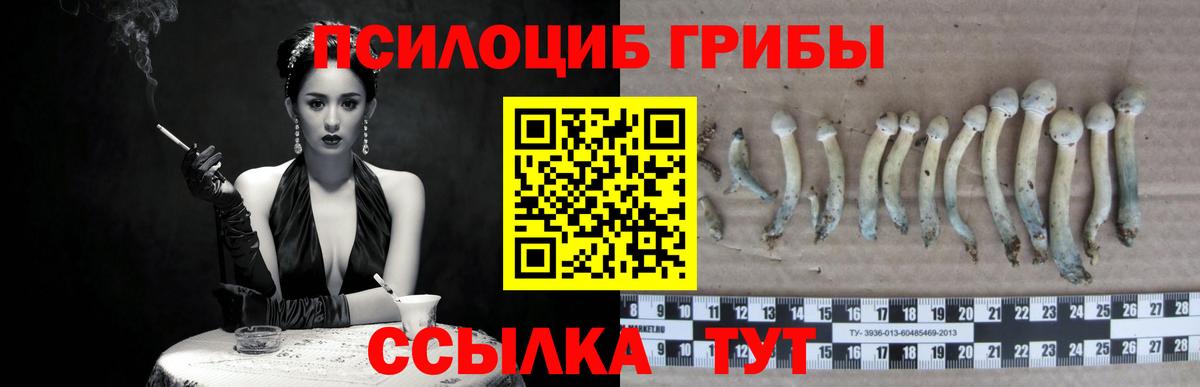 Псилоцибиновые грибы мухоморы Братск
